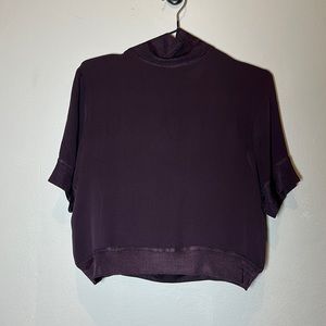 Wilfred Aritzia Silk Mock Neck Crop Top